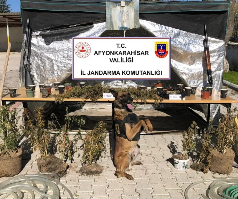 Afyonkarahisar Jandarmasından Dinar Uluköy